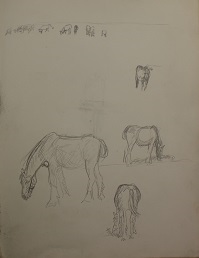 JD_S_00863